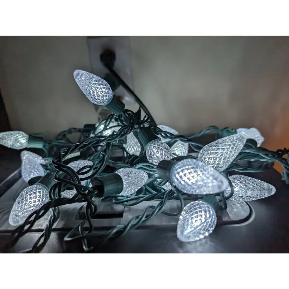 Indoor/Outdoor Christmas Lights-Snowflakes and Other
